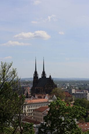 Kondiční jízdy & Vrácení ŘP: bg 6